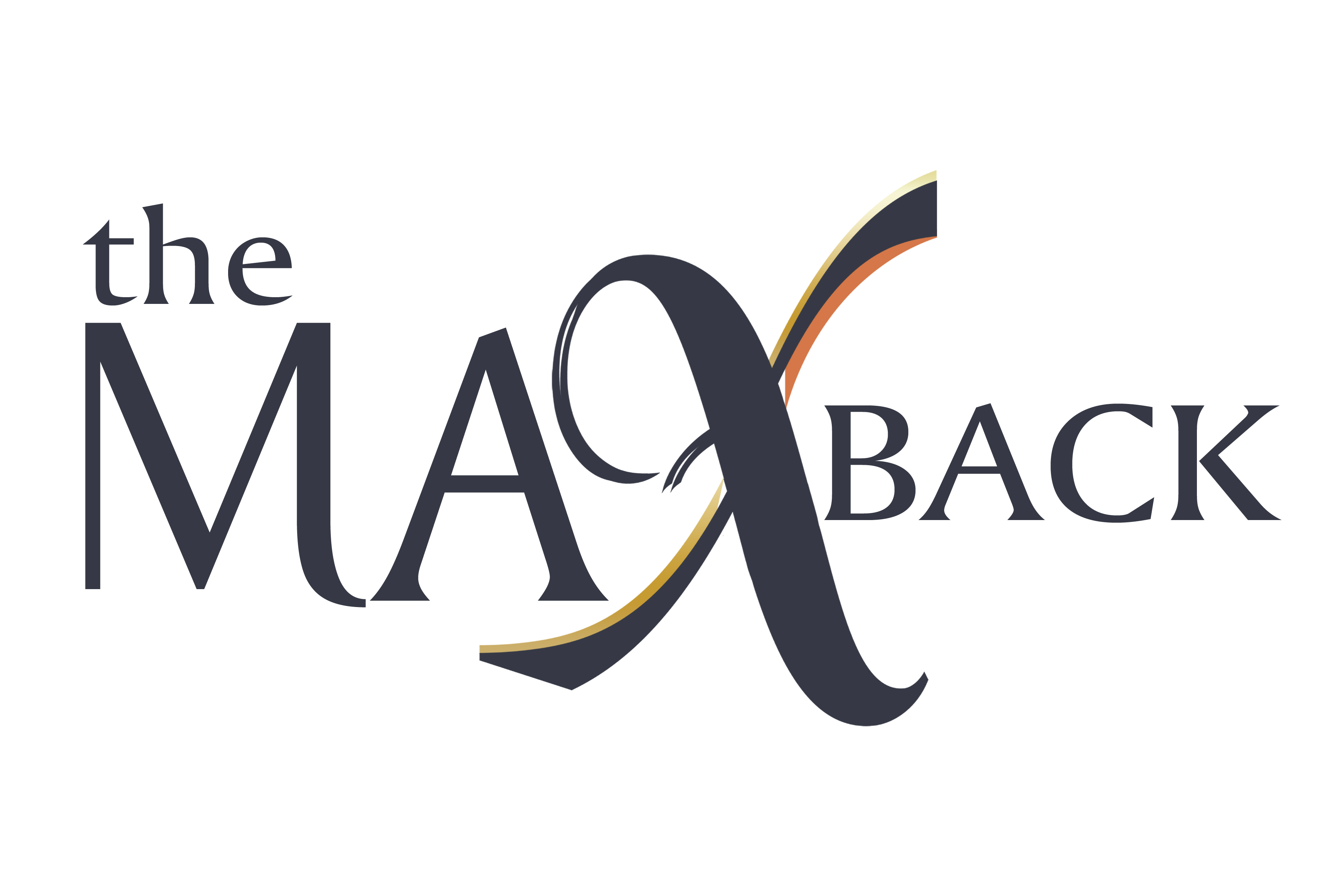The Max Back Income Tax Service